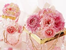 images (47)